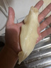 古九珍黃花魚(yú)膠深海花膠黃花膠筒干貨魚(yú)肚魚(yú)鰾孕婦月子女性滋補(bǔ)營(yíng)養(yǎng)禮盒 黃花膠 250克30頭裝（60頭/斤） 曬單實(shí)拍圖