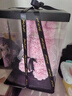 赟婭永生花玫瑰花小熊送女朋友生日七夕情人節(jié)三八婦女節(jié)禮物閨蜜擺件 40cm粉玫瑰兔+禮盒+燈+皇冠婚紗 曬單實拍圖