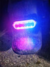 電動(dòng)車防追尾太陽(yáng)能爆閃自行車警示燈免接線寬led夜間后尾燈摩托 【升級(jí)10個(gè)燈珠】太陽(yáng)能-警示燈 曬單實(shí)拍圖