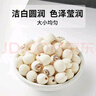 十月稻田 蓮子 250g 半斤 湘潭產(chǎn)去芯磨皮白蓮子 桂圓百合銀耳羹煲湯食材  曬單實(shí)拍圖