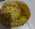 京鮮生 進(jìn)口金枕頭榴蓮 凈重6-7斤 1個裝  鮮果 生鮮 新鮮水果 曬單實拍圖