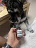 碧緹芙狗狗沐浴露持久留香抑菌除臭泰迪比熊專用貓美毛寵物護毛素IASUO 全效通用香波500ml+護理100+稀瓶 曬單實拍圖