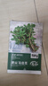 壽禾 馬齒莧種子種苗野生螞蚱菜四季蔬菜種籽 濰育肥尖馬齒莧種子20g 曬單實(shí)拍圖