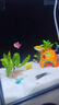 萌嘟星寵 魚缸底砂白色水族箱細(xì)沙子裝飾造景龜缸多肉裝飾 白晶沙5斤 曬單實拍圖