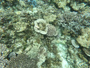 WATERTIME/水川 浮潛面罩潛水鏡呼吸管套裝自由潛面鏡呼吸器浮潛裝備 黑 曬單實拍圖