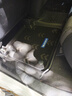 米其林（MICHELIN）本田crv腳墊tpe汽車腳墊雙層半包圍本田CRV燃油17-21款專用腳墊 曬單實(shí)拍圖