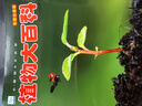 植物大百科 彩圖注音版科普讀物 小眼睛看世界兒童科學(xué)啟蒙認知百科全書(shū) 曬單實(shí)拍圖