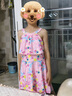 ASK JUNIOR男童女童泳衣套裝寶寶游泳服夏季清涼分體連體卡通印花兒童泳裙 花色 140 曬單實(shí)拍圖