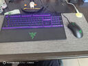 雷蛇（Razer） 煉獄蝰蛇聯(lián)名款有線電競游戲鼠標(biāo) 黑色（右手人體工學(xué) 雷云3驅(qū)動 帶側(cè)鍵） 蝰蛇鼠標(biāo)+雨林狼蛛 V3 X 曬單實(shí)拍圖