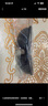 BOLON暴龍太陽(yáng)眼鏡男士高清偏光鏡駕駛員開(kāi)車(chē)專(zhuān)用眼鏡墨鏡騎行鏡BL2282 BL9003D11*黑框/暗黑反光偏光鏡 曬單實(shí)拍圖