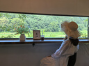 Mistine蜜絲婷海綿金氣墊高遮瑕粉底液提亮膚色控油保濕持妝一殼三芯 曬單實(shí)拍圖