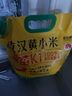 拾兄弟敖漢黃小米內(nèi)蒙赤峰農(nóng)家自產(chǎn)5斤當季新米新鮮五谷雜糧月子小米粥 【敖漢金苗 K1】黃小米5斤 內(nèi)蒙古赤峰敖漢旗小米之鄉(xiāng) 曬單實拍圖