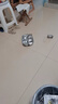 樂扣樂扣兒童餐盤分格盤316不銹鋼幼兒園打飯餐具3-6歲寶寶家用吃飯盤 曬單實(shí)拍圖