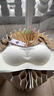 嫦香詩嫦香詩無痕內(nèi)衣女聚攏小胸?zé)o鋼圈防下垂收副乳美背2025運動文胸罩 奶白咖-單件 【裸感無痕承托】 L (80A/80B/80C) 曬單實拍圖