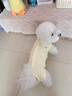 MIKI PAD狗狗衣服春夏季薄款包護肚衣絕育服術(shù)后防舔貓咪衣服透氣防掉毛 背心護肚衣-黃色#可做絕育服 M 胸圍40背長30（建議7-9斤） 曬單實拍圖