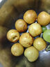 京鮮生  陜西大荔冬棗 凈重2斤單果12g+  源頭直發(fā)【搜生鮮館】 曬單實(shí)拍圖