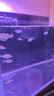 YEE金晶超白玻璃魚缸客廳生態(tài)桌面造景6080裸缸大型烏龜金魚缸溪流缸 60*30*35cm*6mm【送貨上樓】漏水保終身 曬單實拍圖