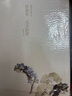 任伯年·花卉圖冊/出類藝術(shù)大家小品 曬單實(shí)拍圖
