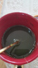 同仁堂大麥苗粉 麥苗粉大麥若葉青汁粉健身代餐粉大麥苗粉即食果蔬沖飲 大麥葉打粉 【500··克袋裝青汁粉】【甄選】 曬單實(shí)拍圖