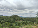 迷彩雙層自動(dòng)速開(kāi)帳篷戶(hù)外訓練防雨野外拉練單兵自動(dòng)帳篷cl星空 單層自動(dòng)帳篷雙人含防潮墊套裝 曬單實(shí)拍圖
