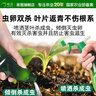 皎潔西瓜苗殺蟲劑蔬菜打蟲藥菜園驅蟲蚜蟲紅蜘蛛病蟲害非無毒防治農藥 西瓜苗殺蟲劑1瓶裝 曬單實拍圖