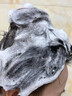 ZCL洗發(fā)水防脫發(fā)育發(fā)固發(fā)生姜控油蓬松去屑何首烏側(cè)柏葉第1名金榜 曬單實(shí)拍圖