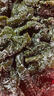 鹽漬海帶結(jié) 新鮮海帶海草 火鍋涮品煲湯食材 500g*2包（鹽漬鎖鮮） 曬單實拍圖