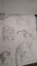【新華正版】中國畫白描入門描摹本國畫工筆國風工筆畫白描底稿線描臨摹畫冊底稿線稿描紅基礎(chǔ)書初學水墨畫冊毛筆繪畫練習教材 【2冊】花卉篇+動物篇 曬單實拍圖