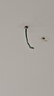 LABOT智能燈泡全光譜天貓精靈語(yǔ)音遙控玉米燈泡E27吊燈燈泡E14螺口球泡 12W-智能調(diào)光【E14】接入米家APP 全光譜Ra98顯 曬單實(shí)拍圖