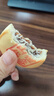 稻香村DXC 特色糕點(diǎn) 休閑點(diǎn)心 零食餅干 山楂鍋盔210g 曬單實(shí)拍圖