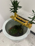 流水趣 竹排竹子流水循環(huán)擺件流水器上半部庭院客廳陽臺陶瓷荷花缸造景 竹排長60＋水泵＋過濾棉（不含缸 曬單實拍圖