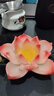 康樂品變色茶寵擺件精品可養(yǎng)創(chuàng)意個性可愛茶玩茶盤茶道茶具茶玩擺件 變色茶寵-蓮花【粉紅色】 曬單實拍圖