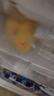 往來白丁 內(nèi)蒙古牛肋條肉2斤凈重 新鮮黃牛肉去骨健身火鍋燒烤食材 生鮮 曬單實拍圖