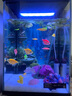 適配小米家魚缸2代背景板貼紙圖畫高清圖立體壁紙風(fēng)景造景裝飾 海扇悠舞 無規(guī)格 曬單實拍圖