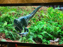 索尼（SONY）KD-75X80L 75英寸 4K超高清 HDR 廣色域 安卓智能液晶 超薄 全面屏電視 專(zhuān)業(yè)畫(huà)質(zhì)芯片 杜比視界 75英寸 KD-75X80L 曬單實(shí)拍圖