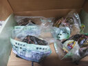 黃阿姨海南特產(chǎn)定安粽子豬肉蛋黃粽傳統手工柴火咸肉粽 早餐代餐大粽子 黑豬肉粽禮盒250g4枚 曬單實(shí)拍圖