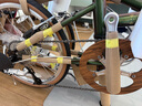 大行（DAHON）D10折疊自行車(chē)20英寸10速成人復(fù)古休閑運(yùn)動(dòng)自行車(chē)HAC003 褐綠幻彩 曬單實(shí)拍圖