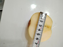 甜醉了煙臺蘋果水果生鮮果脆甜棲霞紅富士整箱應(yīng)季山東特產(chǎn)禮盒產(chǎn)地直發(fā) 紅富士6枚中果 曬單實(shí)拍圖
