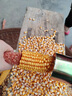 京悠雨德國品質(zhì)手搖玉米脫粒神器家用小型打玉米機器脫粒機撥玉米粒剝離 手搖脫粒機1只裝 曬單實(shí)拍圖