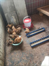 正品魚粉蒸汽魚粉高蛋白飼料養(yǎng)殖喂雞鴨鵝豬蝦獸用禽畜釣魚骨粉 5斤裝魚骨粉 曬單實(shí)拍圖