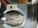 谷蜀香谷蜀香叁滴誘釣魚餌料添加劑小藥鯽魚鯉魚草魚鰱鳙誘食餌料爆護(hù) 50ml一滴攝魂 三滴爆護(hù) 曬單實拍圖