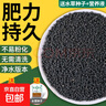 水草陶粒砂生態(tài)魚(yú)缸玻璃瓶家用水草泥水培四季造景套餐新手易種 5斤水草泥+一萬(wàn)粒種子+液肥 曬單實(shí)拍圖