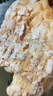 CP正大食品雪花雞排2斤約10片 冷凍 雞胸肉炸雞排雞扒酥脆大塊雞肉 曬單實(shí)拍圖