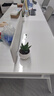 花翁盆栽室內花卉綠植仙人掌植物 大號蘆薈+郁金香陶瓷盆源頭直發(fā) 曬單實(shí)拍圖