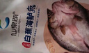 仙泉湖三去白蕉海鱸魚1斤/條凈膛冷凍刺少肉厚珠海特產(chǎn)500g生鮮食材 曬單實拍圖