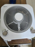 美的（Midea）電風(fēng)扇 臺扇鴻運(yùn)扇家用五葉臺式迷你小風(fēng)扇宿舍臥室節(jié)能桌面電扇轉(zhuǎn)頁扇 KYT20-25F 曬單實(shí)拍圖