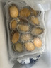 森農(nóng)樂鮑魚鮮活冷凍特大生鮮大號貝類海鮮水產(chǎn)超大即食佛跳墻食材鮑魚汁 14-15只/斤【中大鮑魚1斤 精品嘗鮮】 曬單實(shí)拍圖