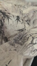 德瑪納【天絲戀人】秋國(guó)風(fēng)新中式輕薄萊賽爾混紡襯衫印花抽褶襯衣女上衣 曬單實(shí)拍圖