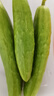 佑嘉木（BlessedWood） 海陽白玉黃瓜  新鮮蔬菜 4.5斤凈重 曬單實拍圖