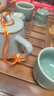 唐豐李桂蓮天青汝窯茶壺功夫茶具陶瓷單壺禮品 宋蘊(yùn)文竹壺禮盒裝 曬單實(shí)拍圖